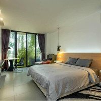 Khai Trương Apartment Dạng 1 Phòng Ngủtách Bếp Có Ban Công Lớn - Thiết Kế Vibe Romantic, Hiện Đại