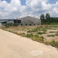 Kẹt Tiền Cần Bán 3,5 Sào (3501M2) Ở Chơn Thành Giá Bán 779 Triệu Cách Đường Liên Xã 100M Liên Hệ: 0937655266