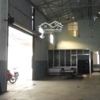 Mặt Bằng Và Kho Xưởng Phạm Hùng 100M2 1.000M2