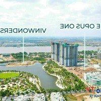 Phân Khu The Beverly Cao Cấp Nhất Vinhomes Grand Park, Giỏ Hàng Đẹp Cđt Giá Ưu Đãi Tháng 3