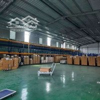 Xưởng 1000M2 Pccc Vách Tường Conter 40Fit Giá Tốt