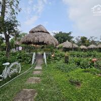 Cho thuê nhà vườn Long biên 2800m2 làm NHÀ HÀNG, CAFÉ, homestay du lịch