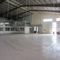 Kho Trần Văn Dư,Diện Tích3.800M2, Có Hệ Thống Pccc, Trần Cao 8M, Giá 110K/M