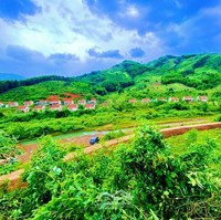 1Ha2 - Đất Giáp Suối, Đường Bê Tông 100M (Chỉ 2 Tỷ) Và Còn Quy Hoạch Ít Đất Ở