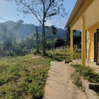 Cho Thuê Nhà Vườn Homestay Tại Nam Yên, Hòa Bắc, Hòa Vang, Đà Nẵng