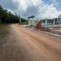 Cần bán lô đất đường Số 71 gần trạm Thành Công hơn 500m2 có sẵn thổ cư