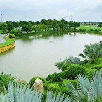 Tổng Hợp Giỏ Hàng Giá Tốt Nhất Hiện Tại Biên Hoà New City