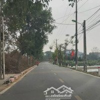 Sở Hữu Ngay Mảnh Đất Mơ Ước - View Đẹp - Giá Tốt - Hương Gia, Phú Cường, Sóc Sơn, Hà Nội