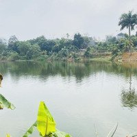 Bán Siêu Phẩm Bám Hồ Tại Phú Cát, Quốc Oai, Hn. Đất 268M2, Mặt Tiền Rộng