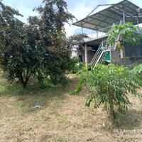 Cần bán vườn cây ăn trái có suối  bao quanh nằm gần hồ Trị An. Giá 420 triệu/sào