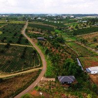 Bán Đất Ngay Ngã 5 Đambri, Diện Tích 300M2, Thổ Cư, Dân Cư Sầm Uất. Hoa Hồng Cho Môi Giới