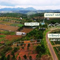 Bán Đất Ngay Ngã 5 Đambri, Diện Tích 300M2, Thổ Cư, Dân Cư Sầm Uất. Hoa Hồng Cho Môi Giới