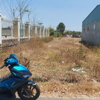 Bán Đất Ven Biển Xã Bông Trang,Sau Ubnd Xã Bông Trang Sổ Hồng Riêng,Mặt Tiền Đường Nhựa,Khu Dân Cư