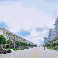 Cho Thuê 2 Căn Thông, 1000M2 Sử Dụng, Hoàn Thiện, 219 Triệu/Tháng, Và Một Số Căn Thông Khác