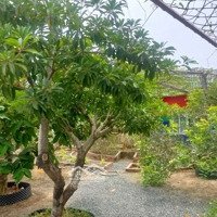 Bán Farm Đường Nguyễn Văn Tạo Hiệp Phước Nhà Bè