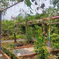 Bán Farm Đường Nguyễn Văn Tạo Hiệp Phước Nhà Bè