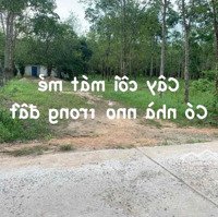 Cắt Lỗ : Gầ