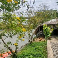 Bán Farm Đường Nguyễn Văn Tạo Nhà Bè
