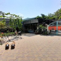 Nhà Vườn Mặt Tiền Rạch Cây Xanh,Diện Tích1.600M2 ( 22M X 65M) - View Sông Thoáng Mát