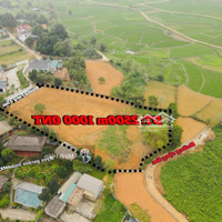 Sang Nhượng Đất Nghỉ Dưỡng Phú Mãn, Quốc Oai,Diện Tích2500M2; Đất Ở 1000M2 Giá Mềm