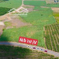 Đất Sào 1000M2 Đường Nhựa, Sổ Riêng Sẳn Xã Trung Hoà