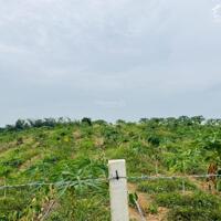 Cần bán vườn sầu riêng 10.000m2 gần hồ Trị An, giá  chỉ 390 triệu/sào
