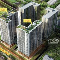 Cần Bán Shophouse Lâu Dài -Diện Tích122M2 - Giá Chỉ Từ 3X Đến 5Xtr/M2 - Dòng Tiền 5-7%/Năm- Vỉa Hè - Oto