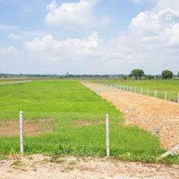 Cần Tiền Gấp Bán Lỗ Hơn 200 Triệu Lô Đất Vườn Xã Phước Thạnh, Huyện Củ Chi, Tp. Hồ Chi Minh