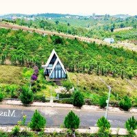 Chính Chủ Bán Homestay Mini 240M2 + Nhà 2 Phòng Ngủfull Nội Thất View Đẹp Giá Rẻ Nhất Bảo Lộc