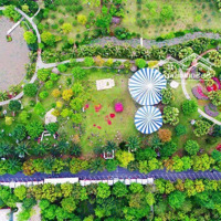 Nhận Đặt Chỗ Căn Hộ Fibonan Ecopark - Mở Bán Đợt 1 - Chiết Khấu 9% - Hỗ Trợ Lãi Suất 0% 24 Tháng