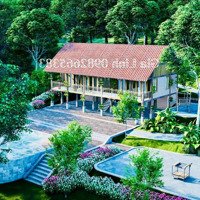 Retreat House - Dự Án Gần Hồ Hòa Bình Giá Siêu Rẻ - Lợi Nhuận Cao Nên Đầu Tư 2024