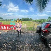 Đất Vườn Giá Rẻ