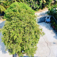 Bán Căn Nhà Vườn Mái Thái Trên Thửa Đất 493M