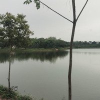 Chuyển Nhượng Siêu Phẩm View Hồ Có 1 Không 2 Tại Yên Thái, Đông Yên, Quốc Oai, Hà Nội