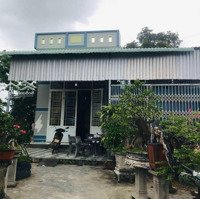 Bán Nhà Gác Lỡ 4 Phòng Ngủ Diện Tích Gần 300M2 Rẻ Nhất Tuy Phước