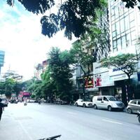 Bán nhà mặt phố Giang Văn Minh, 75m2, mặt tiền 5m, hiệu suất cao, giá nét 42 tỷ