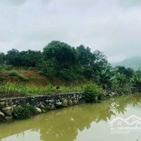 Bán Đất Cư Yên, Lương Sơn, Hoà Bình 2153M2 Bám Suối, Đất Siêu Đẹp
