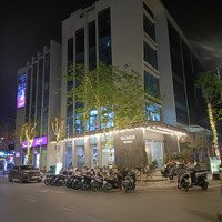 Siêu Biệt Thự Nguyễn Văn Lộc, Hà Đông, 180M, 4 Tầng, Giá Bán 26 Tỷ Lô Góc, Kinh Doanh Cafe