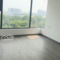 Chính Chủ Cho Thuê Căn 2 Phòng Ngủ - Diamond Alnata Plus, Ntcb, View Đn , 14 Triệu/Tháng, Có Ô Đậu Xe