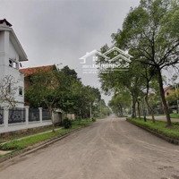 Cần Bán Nhiều Lô Biệt Thự Khu Đô Thị Quang Minh, Vị Trí Đẹp, Giá Tốt