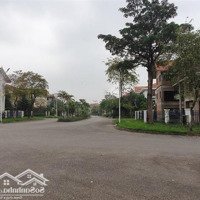 Cần Bán Nhiều Lô Biệt Thự Khu Đô Thị Quang Minh, Vị Trí Đẹp, Giá Tốt