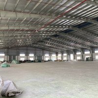 Cho Thuê Kho Xương 5500M2 , 10,000M2 Đường Quốc 1A