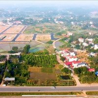 Bán Đất Đấu Giá Hương Lạc - Lạng Giang - Bắc Giang