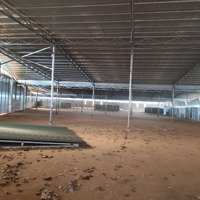 Cần Bán Kho Xưởng Rộng 7400M2 Khu Công Nghiệp Krongbuk Đak Lak