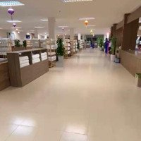 Cho Thuê Mặt Bằng Sẳn Mô Hình Kinh Doanh Phù Hợp Cty Đón Khách Đoàn, Shop, Showroom, Nhà Hàng,