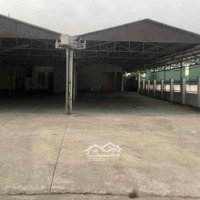 Cho Thuê Kho 2 Mặt Tiền Hơn 1000M2 Phường Tân Lợi - Bmt