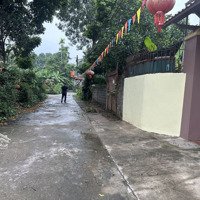 Hàng Mới F0 Chuẩn Bị Ra Tại Viên An - Ứng Hòa - Hà Nội