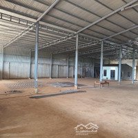 Cho Thuê Kho Thời Vụ Làm Sầu Rieng 2000M2 Huyện Krong Buk, 100 Triệu/ Tháng , Tính Tiền 4 Tháng