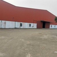 Cho Thuê 10,000M2 Nhà Xưởng Sản Xuất Kcn Trung Hà, Xã Thượng Nông, Tam Nông, Phú Thọ