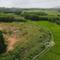 Bán Trang Trại Có Đất Ở : Hoà Phú - Hoà Vang